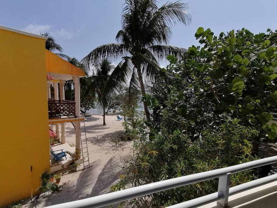 Marysol Great Views Beachfront Next To Nomads D3 Isla Mujeres Exteriör bild