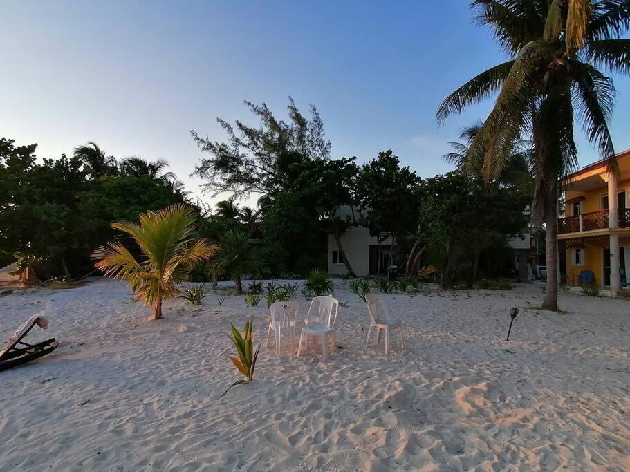 Marysol Great Views Beachfront Next To Nomads D3 Isla Mujeres Exteriör bild
