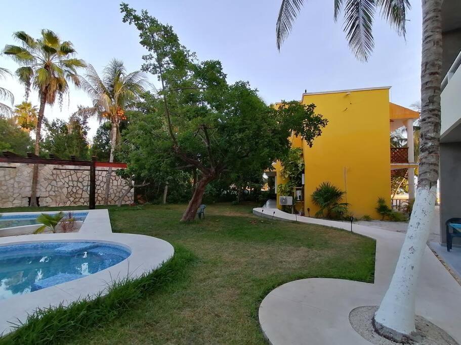 Marysol Great Views Beachfront Next To Nomads D3 Isla Mujeres Exteriör bild