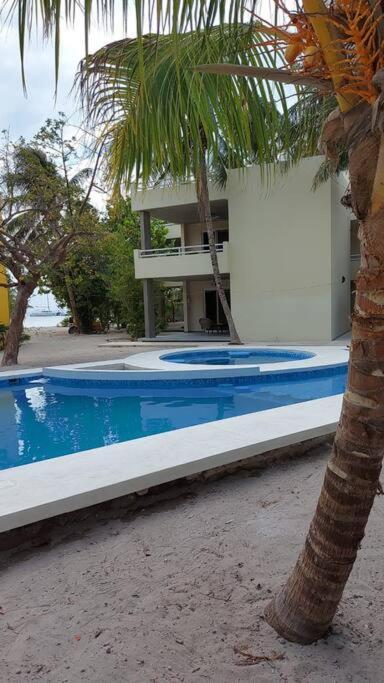 Marysol Great Views Beachfront Next To Nomads D3 Isla Mujeres Exteriör bild