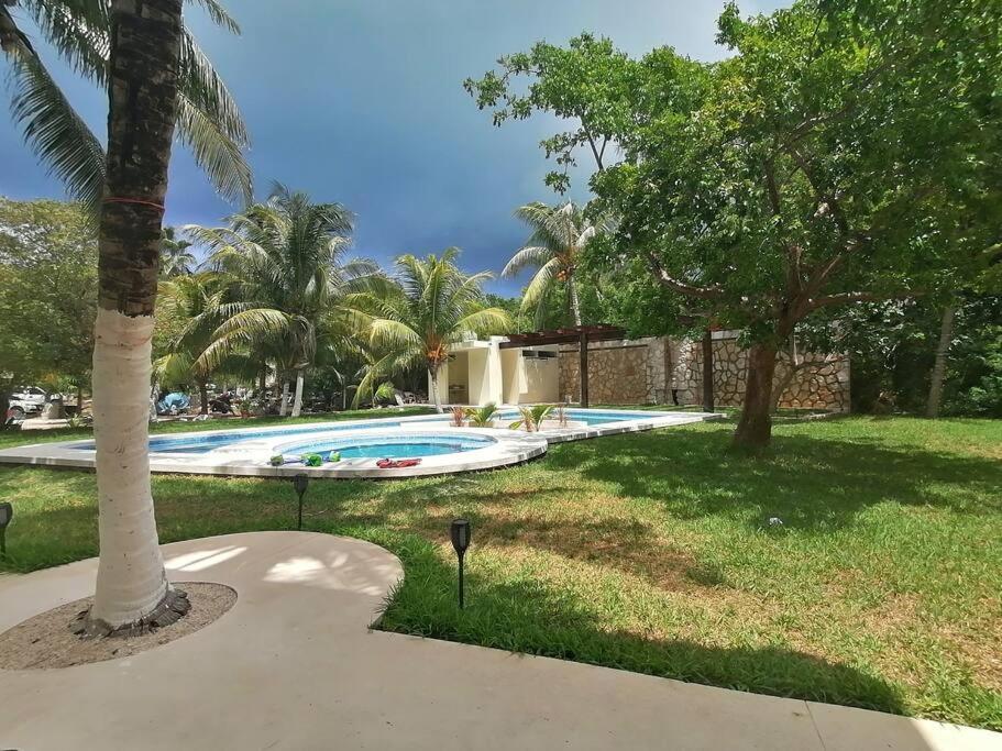 Marysol Great Views Beachfront Next To Nomads D3 Isla Mujeres Exteriör bild