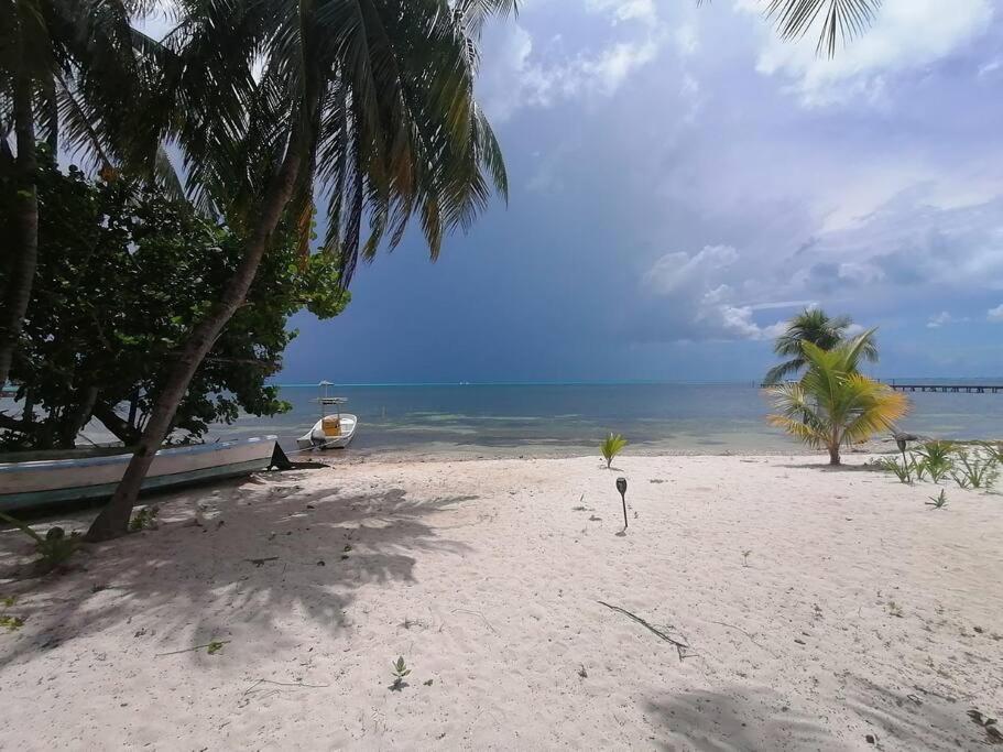 Marysol Great Views Beachfront Next To Nomads D3 Isla Mujeres Exteriör bild