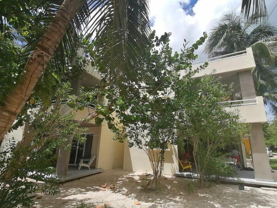 Marysol Great Views Beachfront Next To Nomads D3 Isla Mujeres Exteriör bild