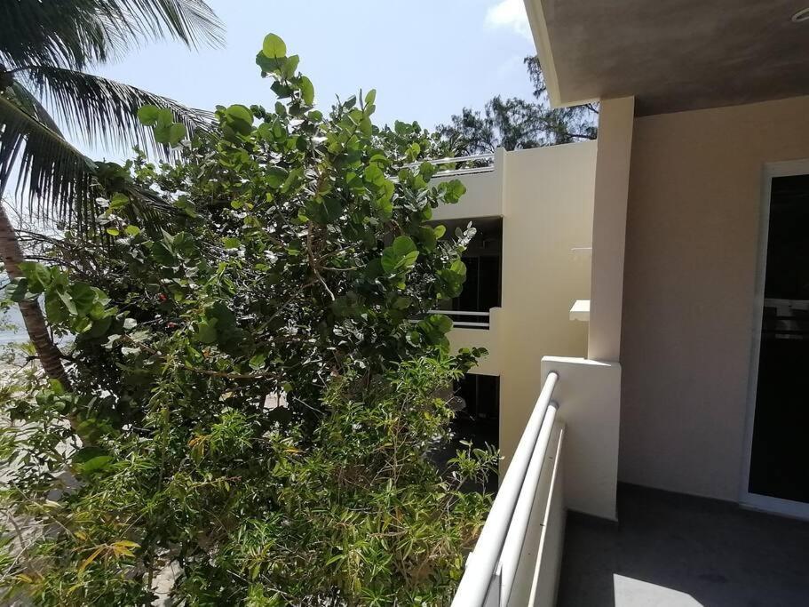 Marysol Great Views Beachfront Next To Nomads D3 Isla Mujeres Exteriör bild