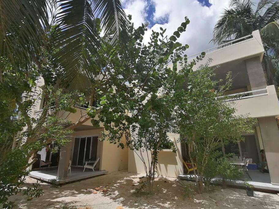 Marysol Great Views Beachfront Next To Nomads D3 Isla Mujeres Exteriör bild