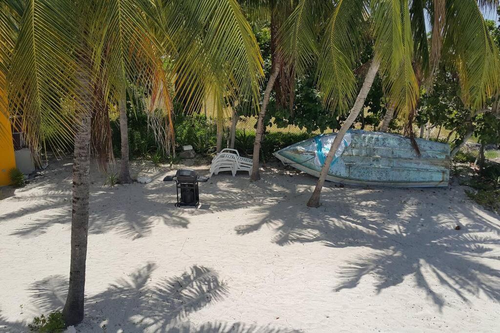 Marysol Great Views Beachfront Next To Nomads D3 Isla Mujeres Exteriör bild