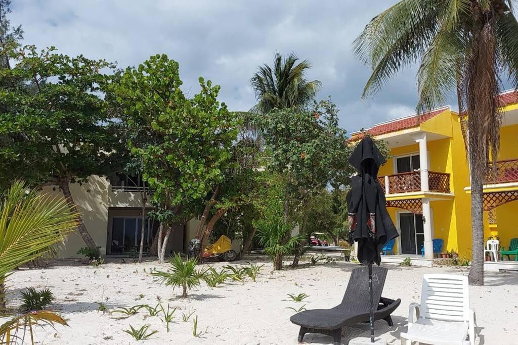 Marysol Great Views Beachfront Next To Nomads D3 Isla Mujeres Exteriör bild