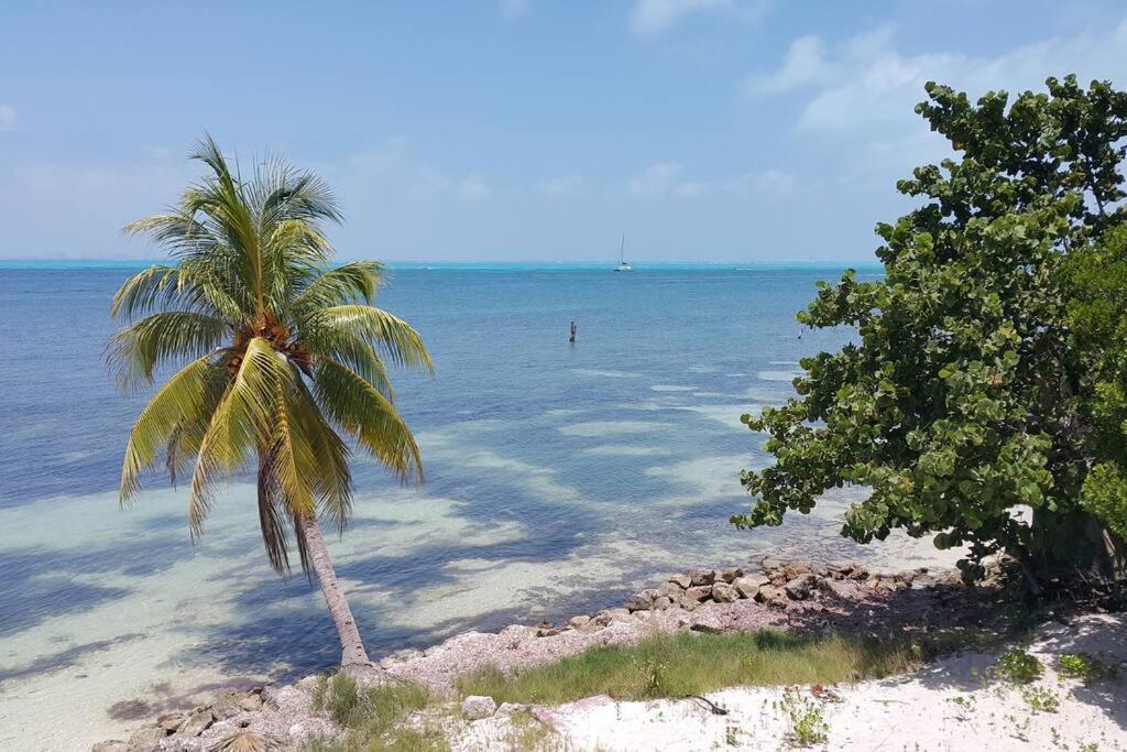Marysol Great Views Beachfront Next To Nomads D3 Isla Mujeres Exteriör bild