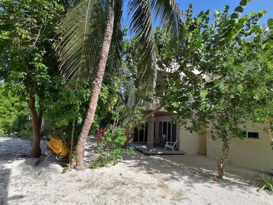 Marysol Great Views Beachfront Next To Nomads D3 Isla Mujeres Exteriör bild