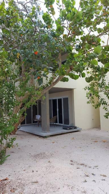Marysol Great Views Beachfront Next To Nomads D3 Isla Mujeres Exteriör bild
