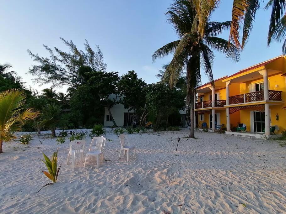Marysol Great Views Beachfront Next To Nomads D3 Isla Mujeres Exteriör bild